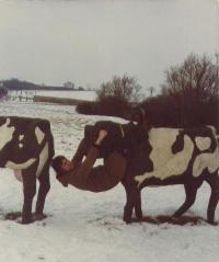 Concrete Cows Milton Keynes